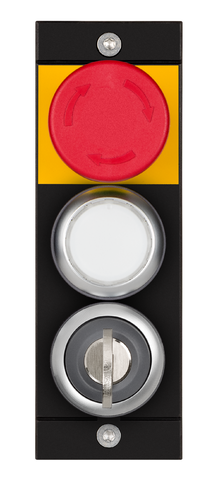 MSM-1-K-CA-CPJ-B4-137736 (Order no. 137736)