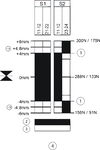 Schaltwegdiagramm